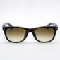 Rayban RB2132F NEW WAYFARER