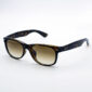 Rayban RB2132F NEW WAYFARER