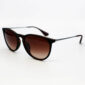 Rayban Erika RB4171-F 865/13 54