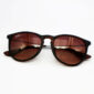 Rayban Erika RB4171-F 865/13 54