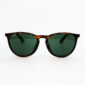 Rayban Erika RB4171-F 710/71 54