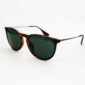 Rayban Erika RB4171-F 710/71 54