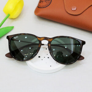 Rayban Erika RB4171-F 710/71 54