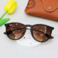 Rayban Erika RB4171-F 865/13 54
