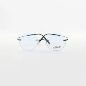 Silhouette 5541 CK 4546