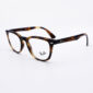 Rayban RB1601 3685