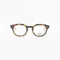 Moscot Lemtosh 49 Col.Tortoise (NP)