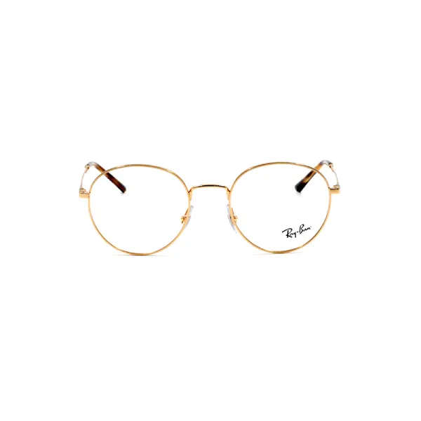 RAYBAN RB3681V 2500 50